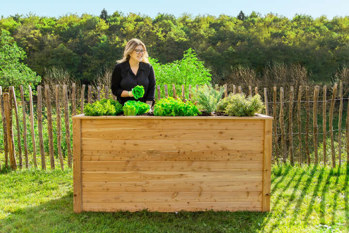 WESTMANN Hochbeet Klassik